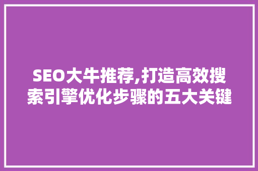 SEO大牛推荐,打造高效搜索引擎优化步骤的五大关键要素