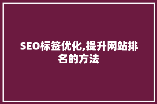 SEO标签优化,提升网站排名的方法