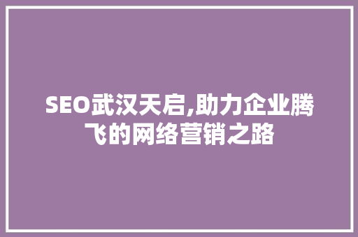 SEO武汉天启,助力企业腾飞的网络营销之路