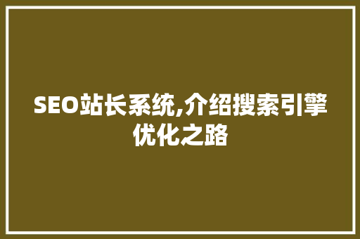SEO站长系统,介绍搜索引擎优化之路