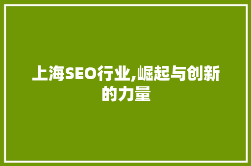 上海SEO行业,崛起与创新的力量 网站开发