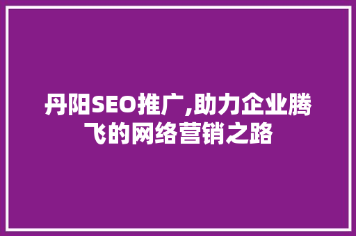 丹阳SEO推广,助力企业腾飞的网络营销之路