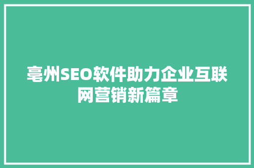 亳州SEO软件助力企业互联网营销新篇章