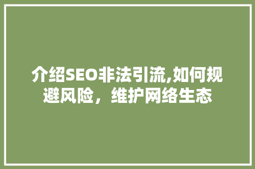 介绍SEO非法引流,如何规避风险，维护网络生态