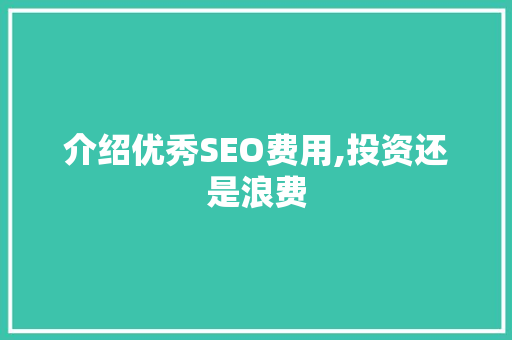 介绍优秀SEO费用,投资还是浪费 seo技术