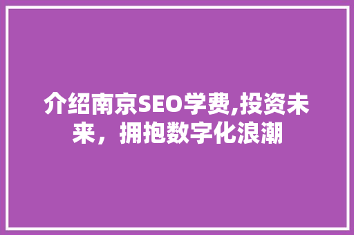 介绍南京SEO学费,投资未来，拥抱数字化浪潮