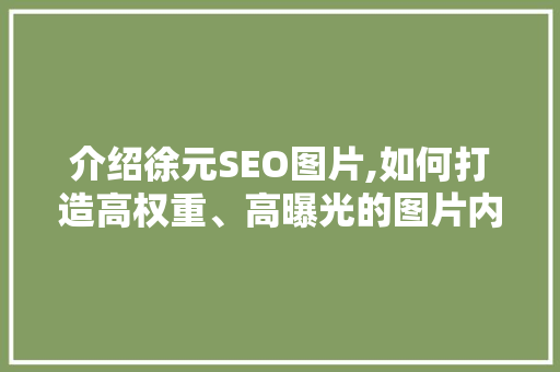 介绍徐元SEO图片,如何打造高权重、高曝光的图片内容 seo技术