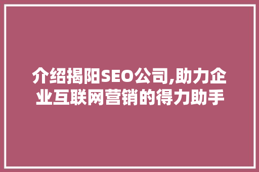介绍揭阳SEO公司,助力企业互联网营销的得力助手