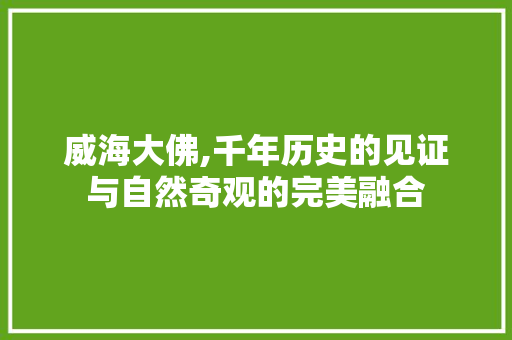 威海大佛,千年历史的见证与自然奇观的完美融合