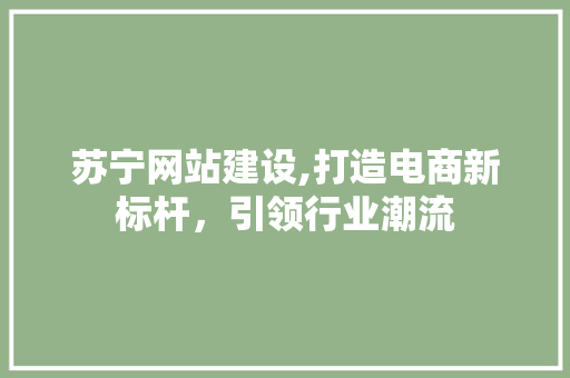苏宁网站建设,打造电商新标杆，引领行业潮流