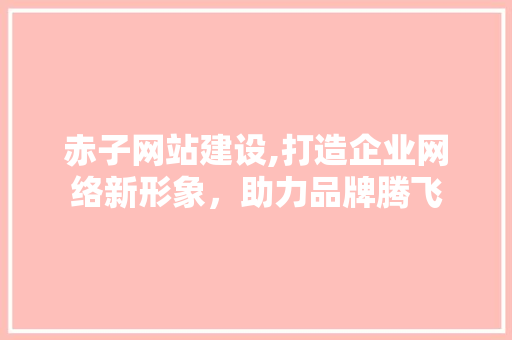 赤子网站建设,打造企业网络新形象，助力品牌腾飞
