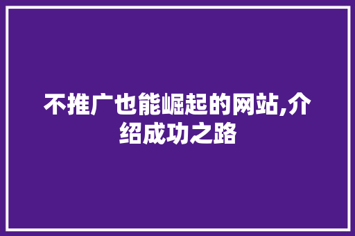 不推广也能崛起的网站,介绍成功之路