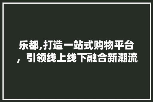 乐都,打造一站式购物平台，引领线上线下融合新潮流