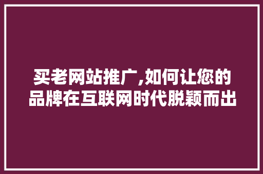 买老网站推广,如何让您的品牌在互联网时代脱颖而出