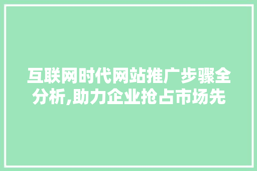 互联网时代网站推广步骤全分析,助力企业抢占市场先机