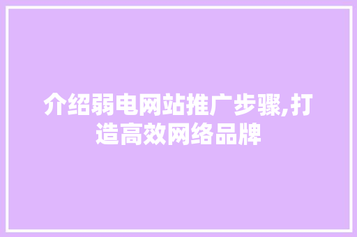 介绍弱电网站推广步骤,打造高效网络品牌