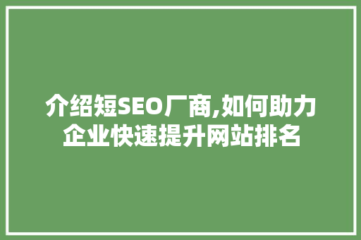 介绍短SEO厂商,如何助力企业快速提升网站排名