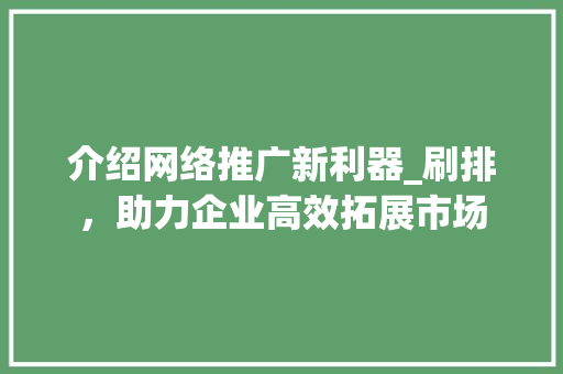 介绍网络推广新利器_刷排，助力企业高效拓展市场
