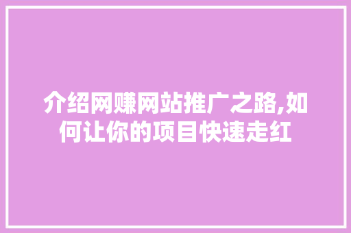 介绍网赚网站推广之路,如何让你的项目快速走红