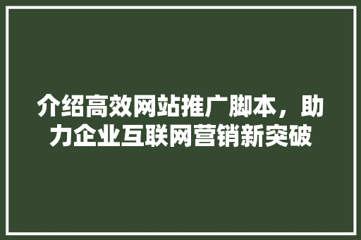 介绍高效网站推广脚本，助力企业互联网营销新突破