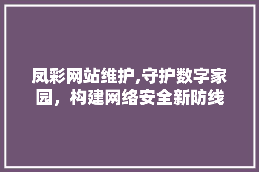 凤彩网站维护,守护数字家园，构建网络安全新防线