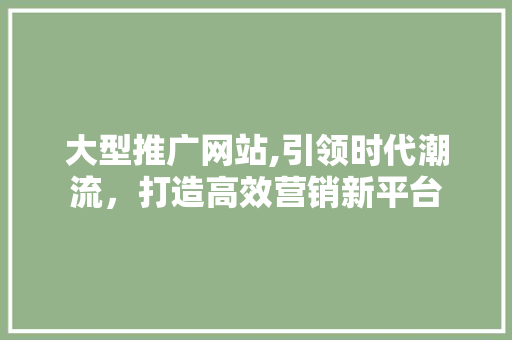 大型推广网站,引领时代潮流，打造高效营销新平台