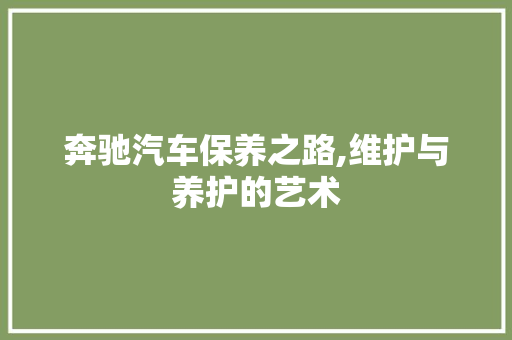 奔驰汽车保养之路,维护与养护的艺术