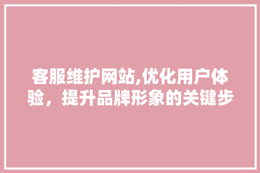 客服维护网站,优化用户体验，提升品牌形象的关键步骤