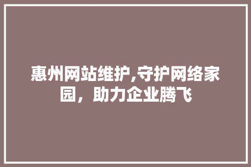 惠州网站维护,守护网络家园，助力企业腾飞