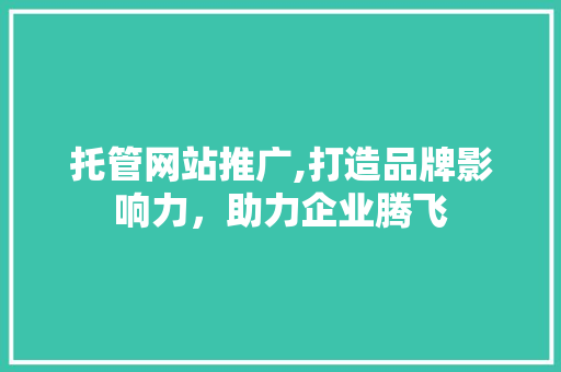 托管网站推广,打造品牌影响力，助力企业腾飞