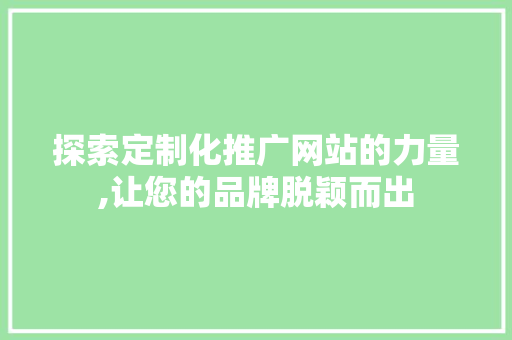探索定制化推广网站的力量,让您的品牌脱颖而出 英文谷歌算法