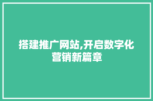 搭建推广网站,开启数字化营销新篇章
