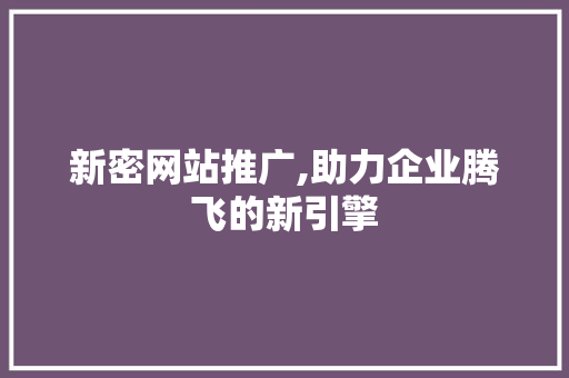 新密网站推广,助力企业腾飞的新引擎