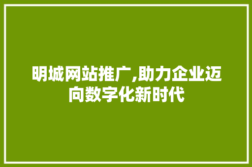 明城网站推广,助力企业迈向数字化新时代 头条优化