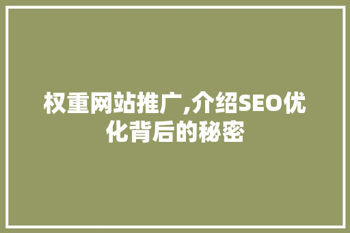 权重网站推广,介绍SEO优化背后的秘密