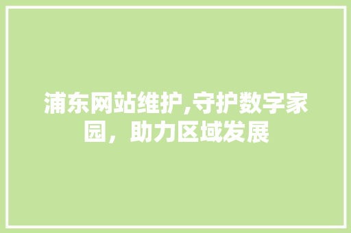 浦东网站维护,守护数字家园，助力区域发展