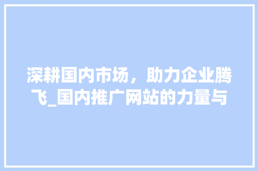 深耕国内市场，助力企业腾飞_国内推广网站的力量与价值