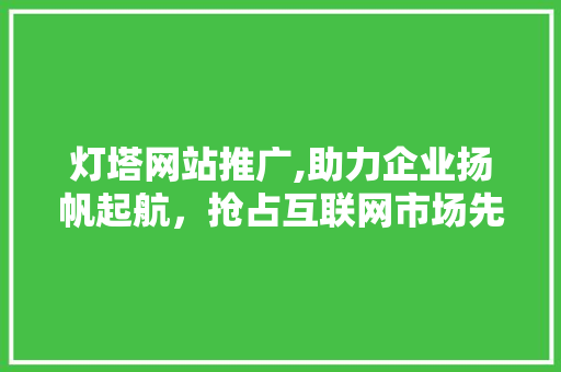 灯塔网站推广,助力企业扬帆起航，抢占互联网市场先机
