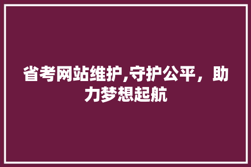 省考网站维护,守护公平，助力梦想起航