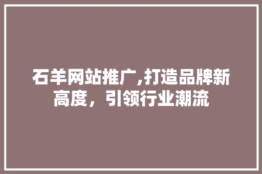 石羊网站推广,打造品牌新高度，引领行业潮流 网站优化