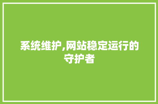 系统维护,网站稳定运行的守护者