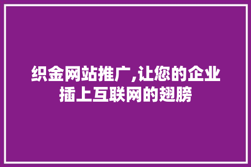 织金网站推广,让您的企业插上互联网的翅膀