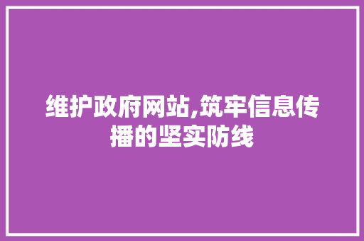 维护政府网站,筑牢信息传播的坚实防线