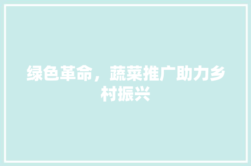 绿色革命，蔬菜推广助力乡村振兴 搜狗优化