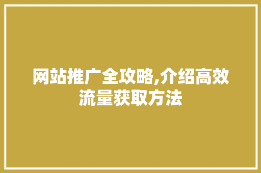 网站推广全攻略,介绍高效流量获取方法 小程序开发