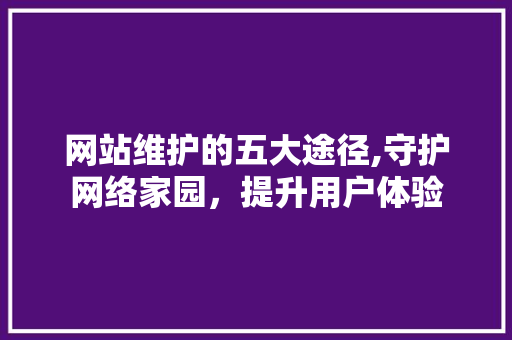 网站维护的五大途径,守护网络家园，提升用户体验