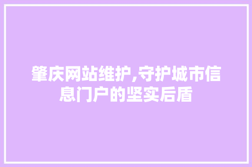 肇庆网站维护,守护城市信息门户的坚实后盾