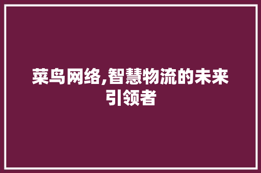 菜鸟网络,智慧物流的未来引领者