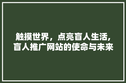 触摸世界，点亮盲人生活,盲人推广网站的使命与未来