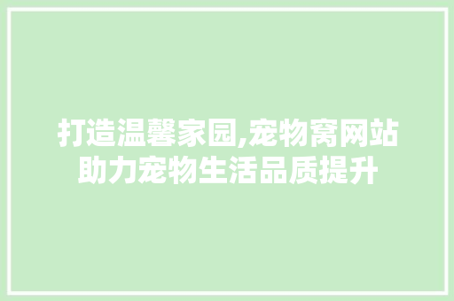 打造温馨家园,宠物窝网站助力宠物生活品质提升
